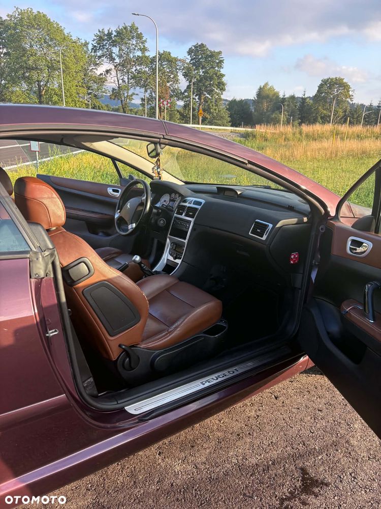Peugeot 307 CC 2.0 - 9