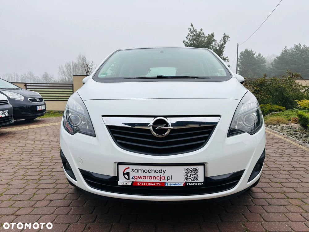 Opel Meriva 1.4 Ecoflex Color Edition - 12