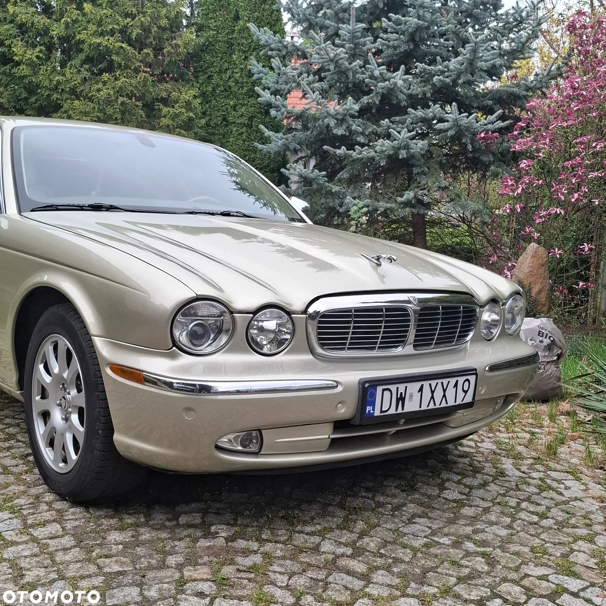 Jaguar XJ XJ8 4.2 LWB High - 1