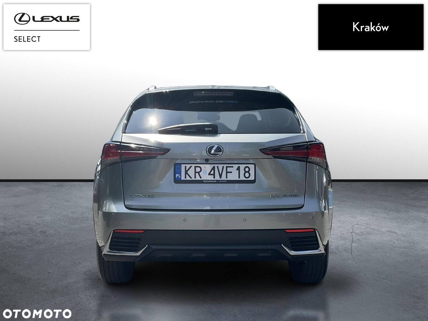 Lexus NX - 4