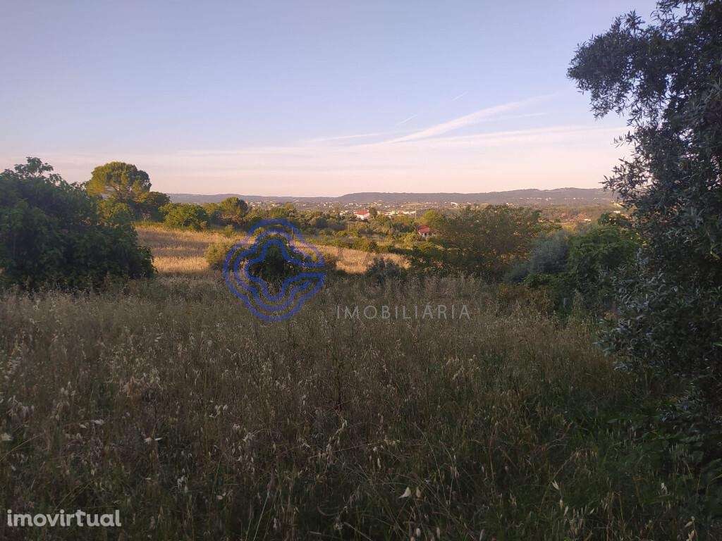 Lote de terreno com projeto aprovado a 2 minutos do centro da cidade d - Grande imagem: 4/33