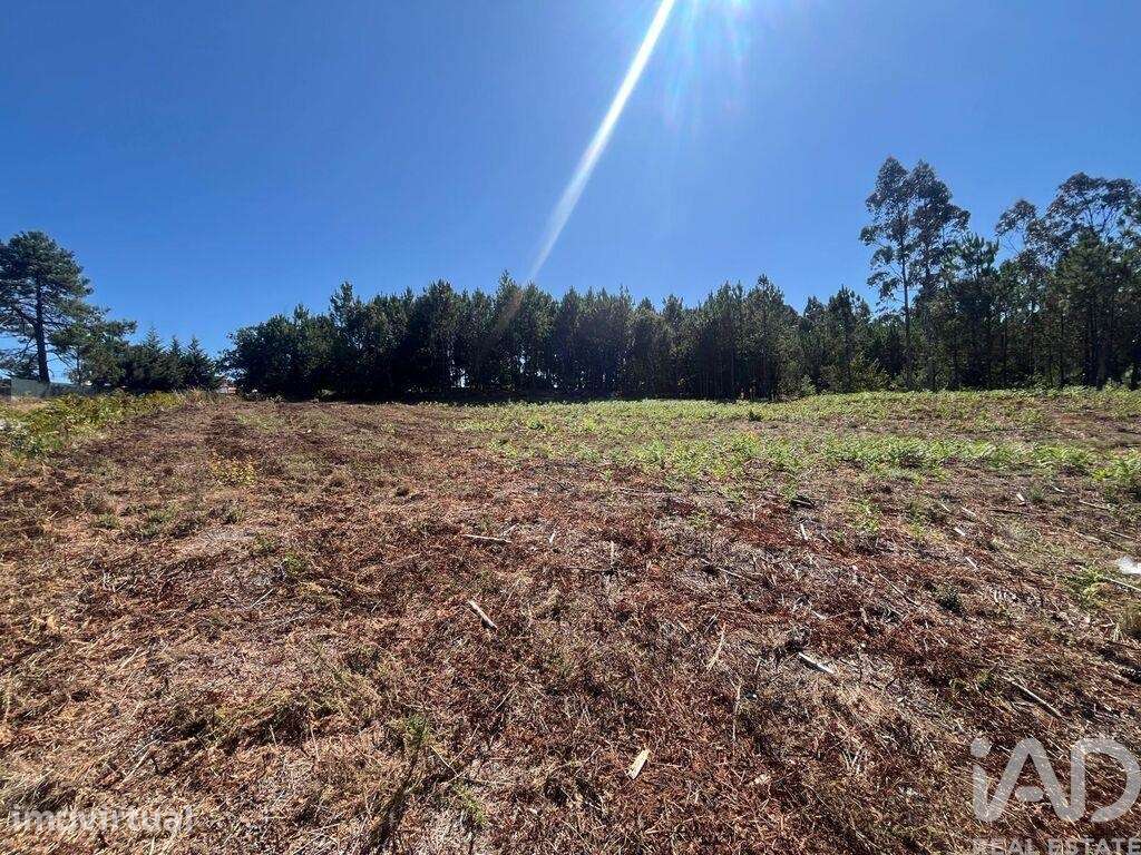 Terreno industrial em Antas - Grande imagem: 2/11