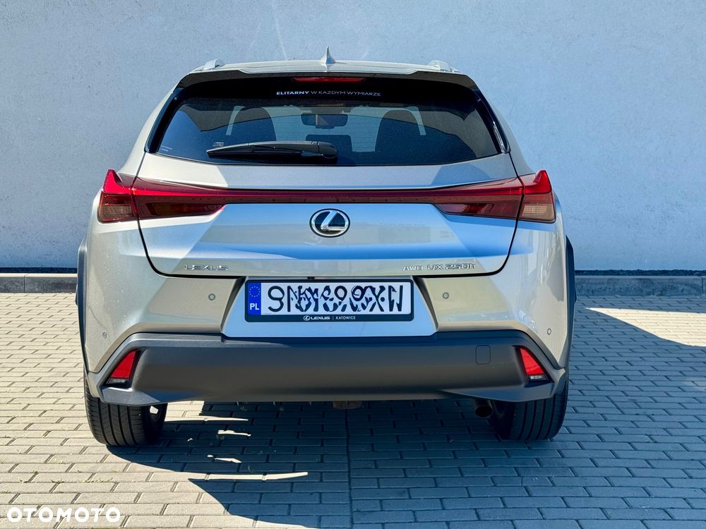 Lexus UX 250h GPF Prestige AWD - 11