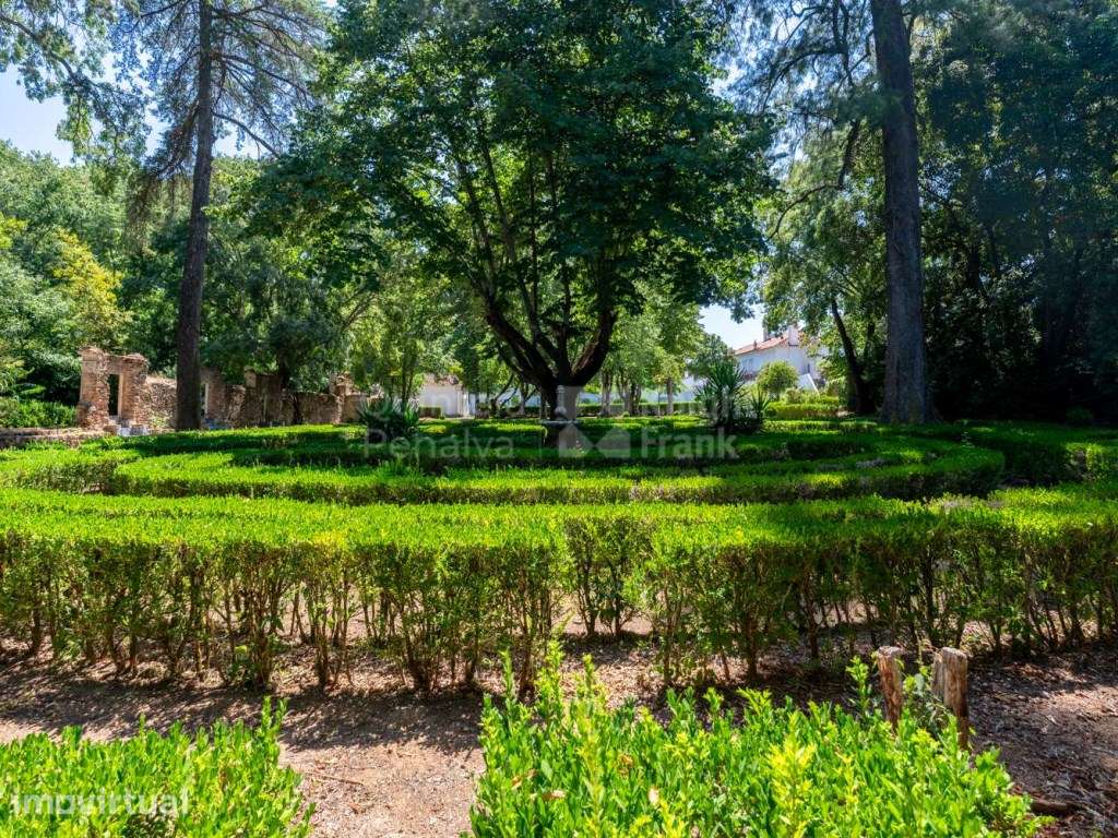 Quinta em Borba, Évora - Grande imagem: 3/40