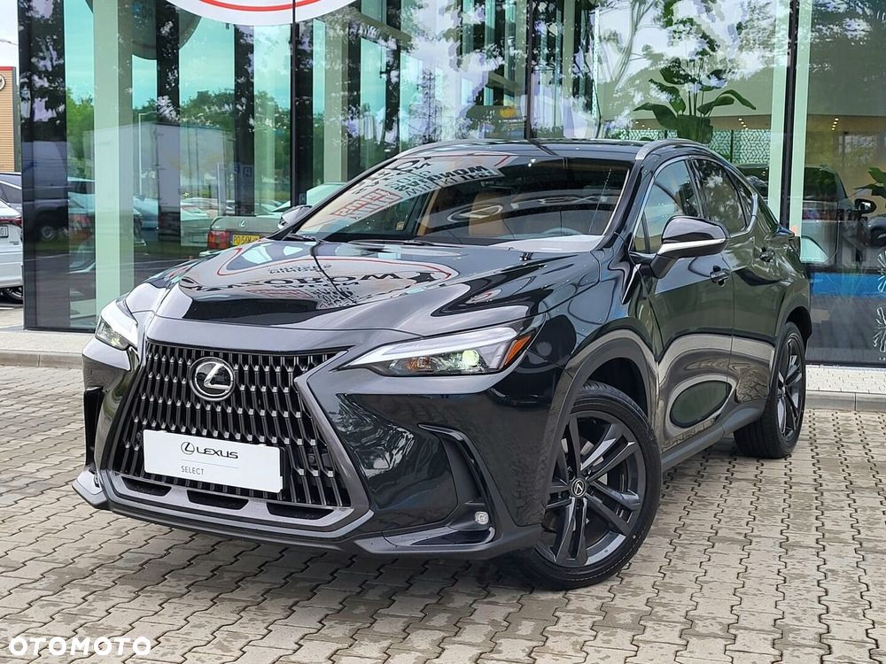Lexus NX - 10