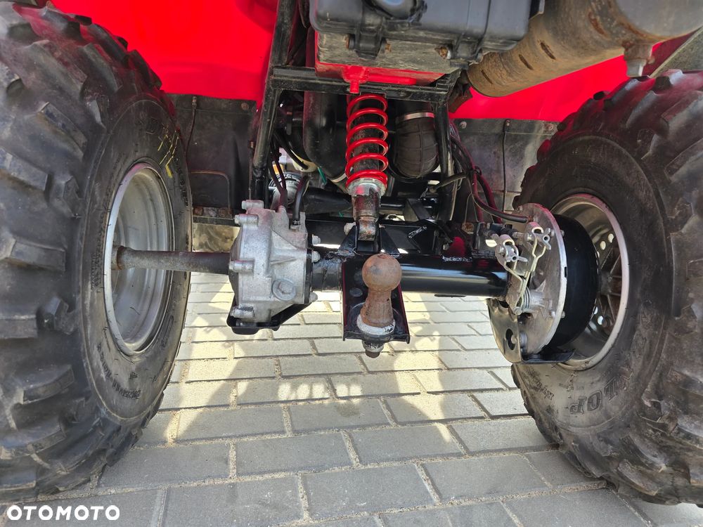 Kawasaki Brute Force - 17