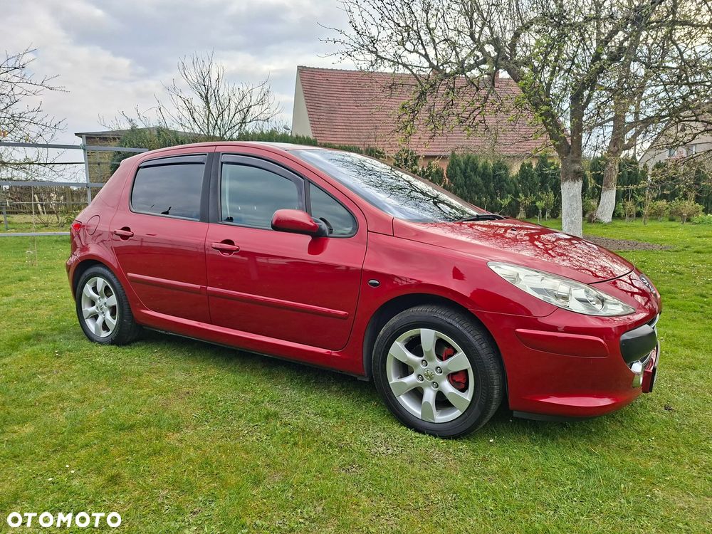 Peugeot 307 140 Sport - 1