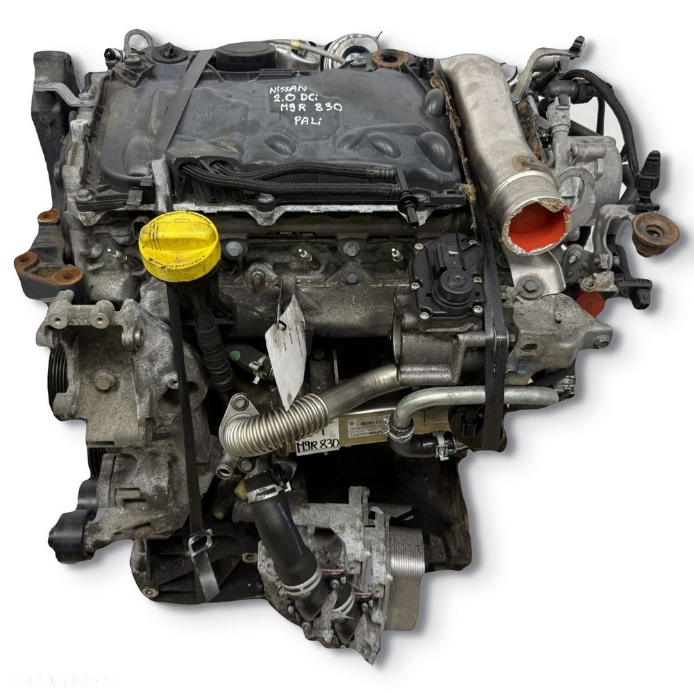 SILNIK M9R830 Renault Koleos Nissan X-Trail X Trail II T31 2.0 DCI 150KM - 1