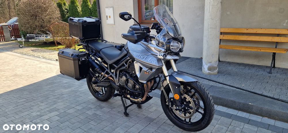 Triumph Tiger - 21