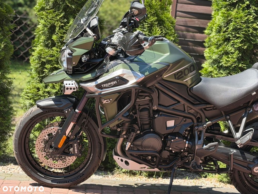 Triumph Tiger - 19