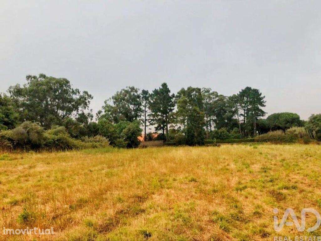 Terreno em Colares de 11640,00 m2 - Grande imagem: 2/7