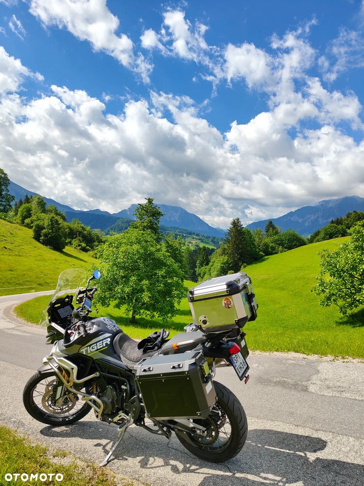 Triumph Tiger - 1