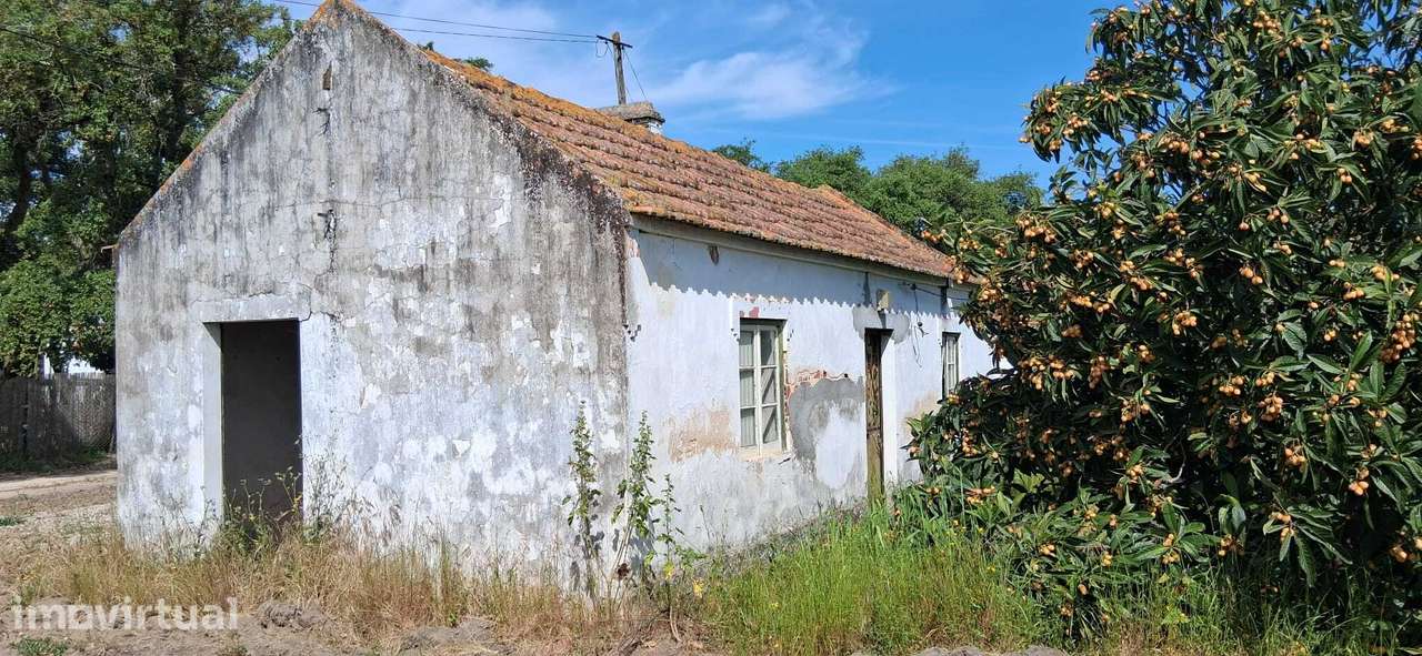 Terreno com 5000m2, com casa para restaurar - Granho Novo Marinhais... - Grande imagem: 3/8