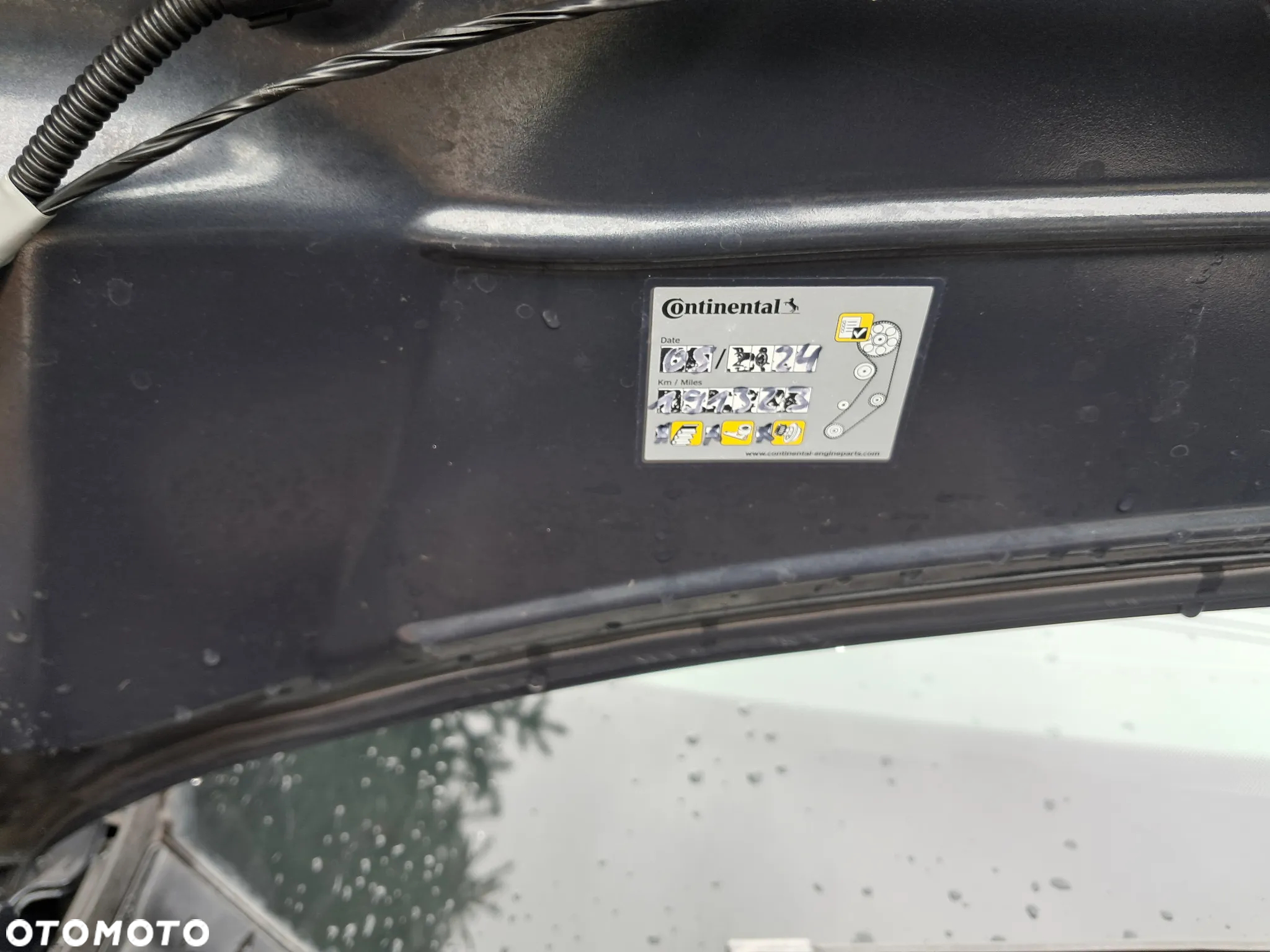 Ford C-MAX 1.0 EcoBoost Start-Stopp-System Champions Edition - 12