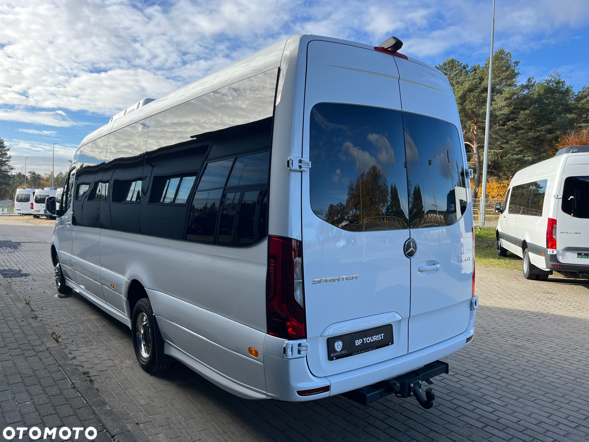 Mercedes-Benz Sprinter 519 - 9