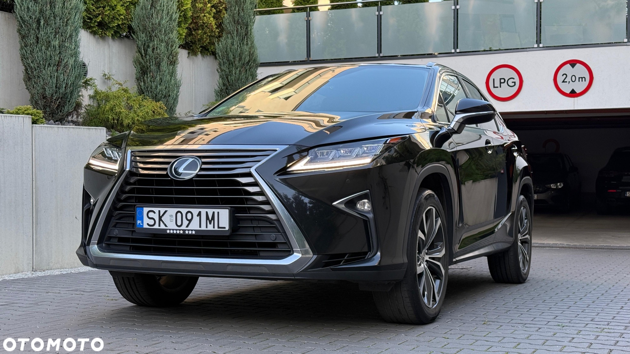 Lexus RX 200t / 300 Elegance - 8