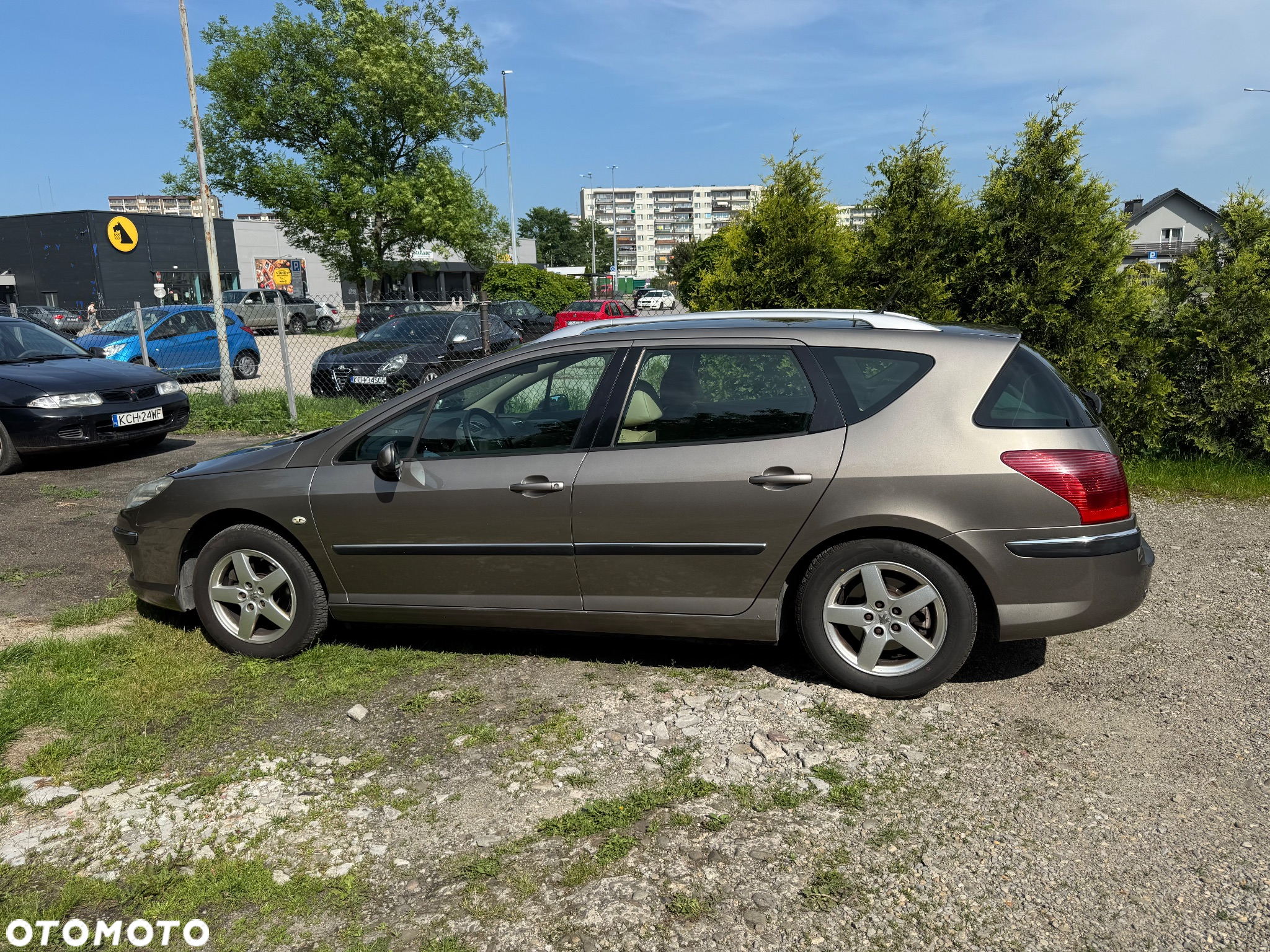 Peugeot 407 - 5