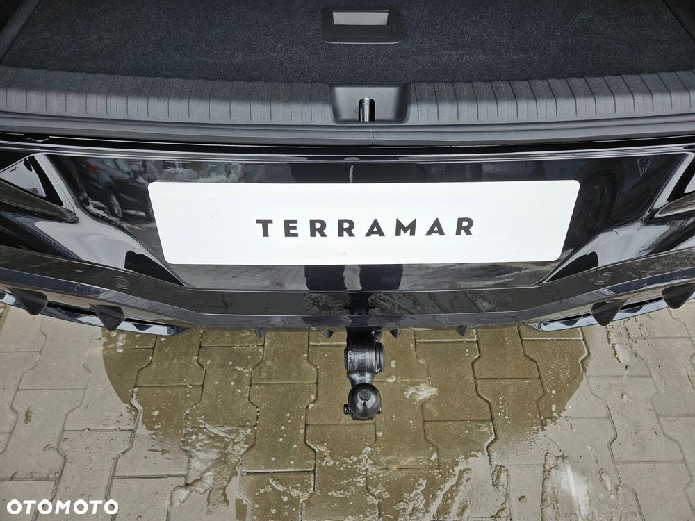 Cupra Terramar 2.0 TSI 4Drive Tribe Edition DSG - 7