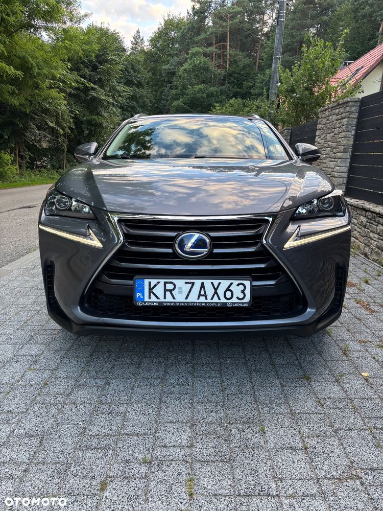 Lexus NX 300h Elegance 2WD - 1