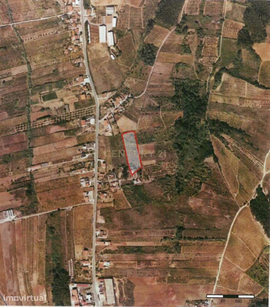 Terrenos em Painho/Cadaval -  Oportunidade de Investimento para agricu - Grande imagem: 3/8