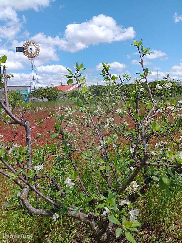 Terreno  para venda - Grande imagem: 2/28