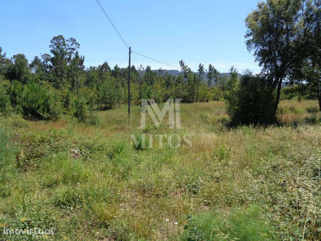 Terreno p/ construção - Deão - Grande imagem: 3/11