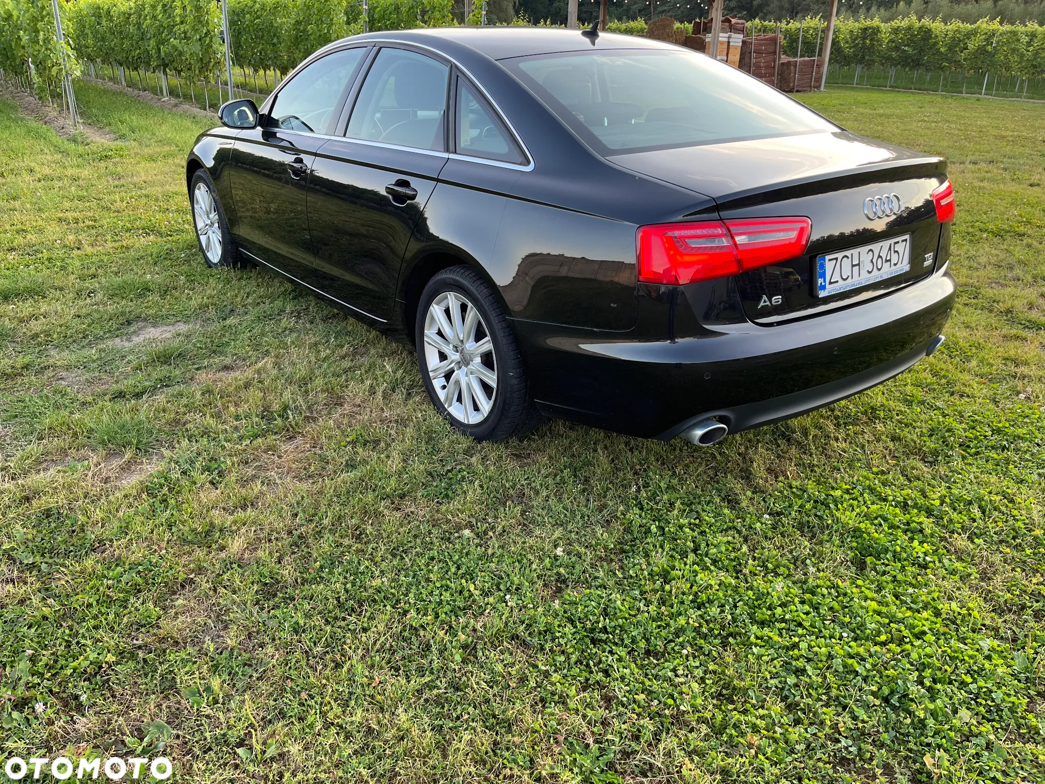Audi A6 - 3