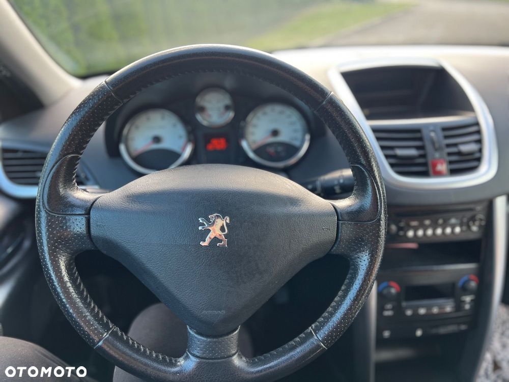Peugeot 207 - 19