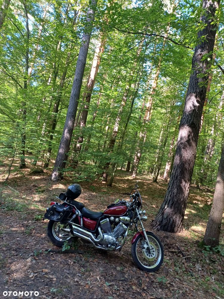 Yamaha Virago - 2
