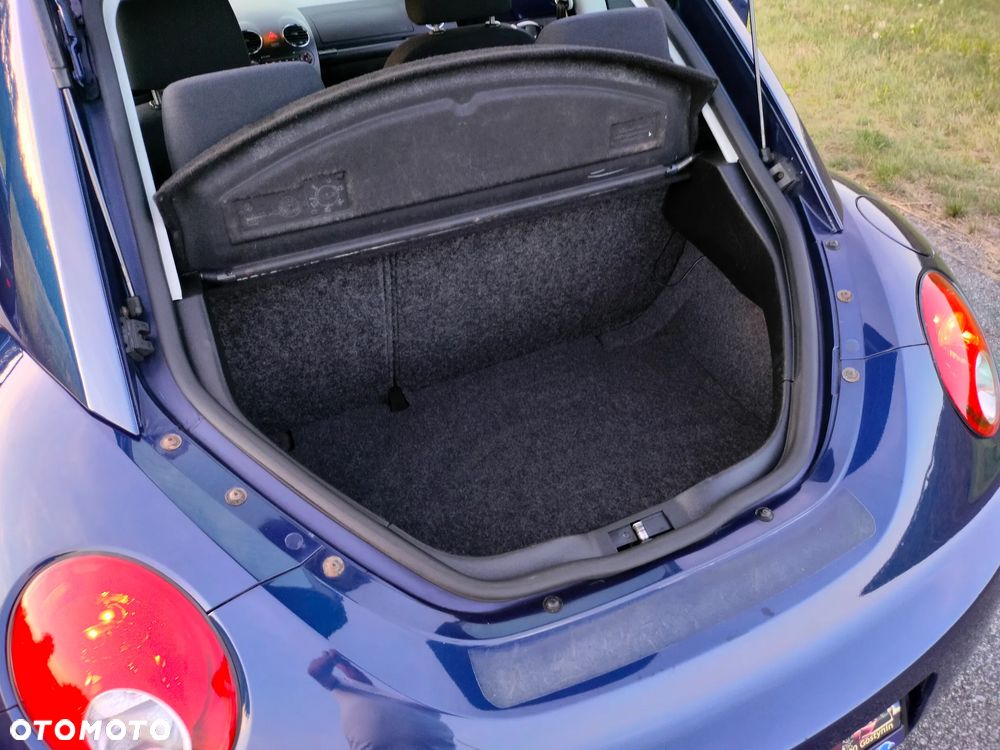 Volkswagen New Beetle - 29