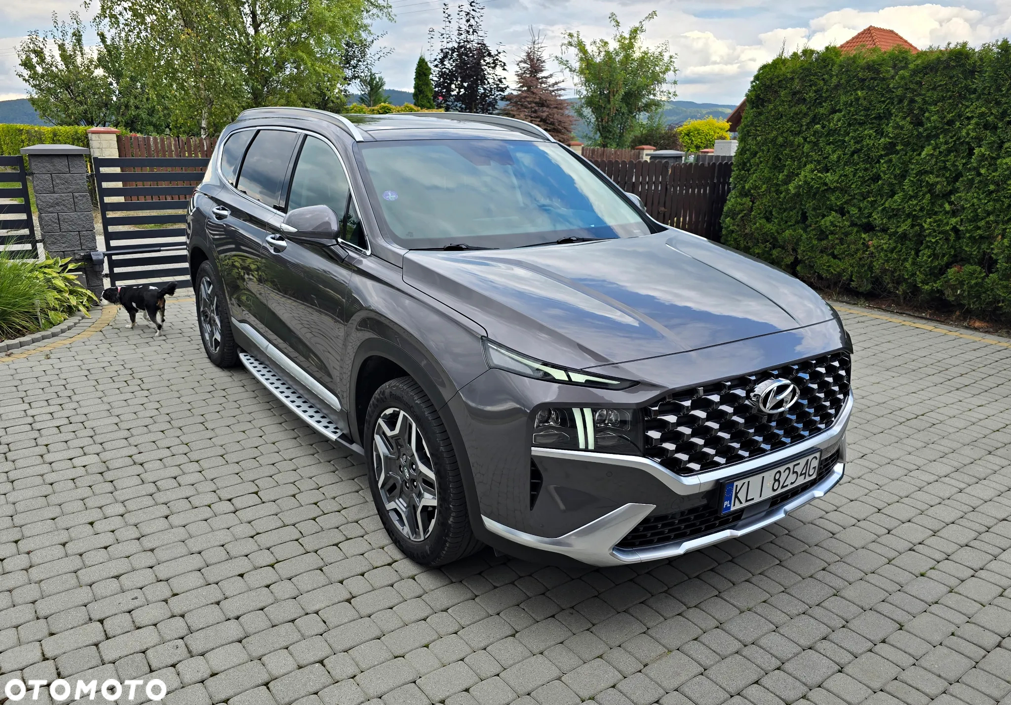 Hyundai Santa Fe 1.6 HEV 2WD 7-Sitzer Signature - 2