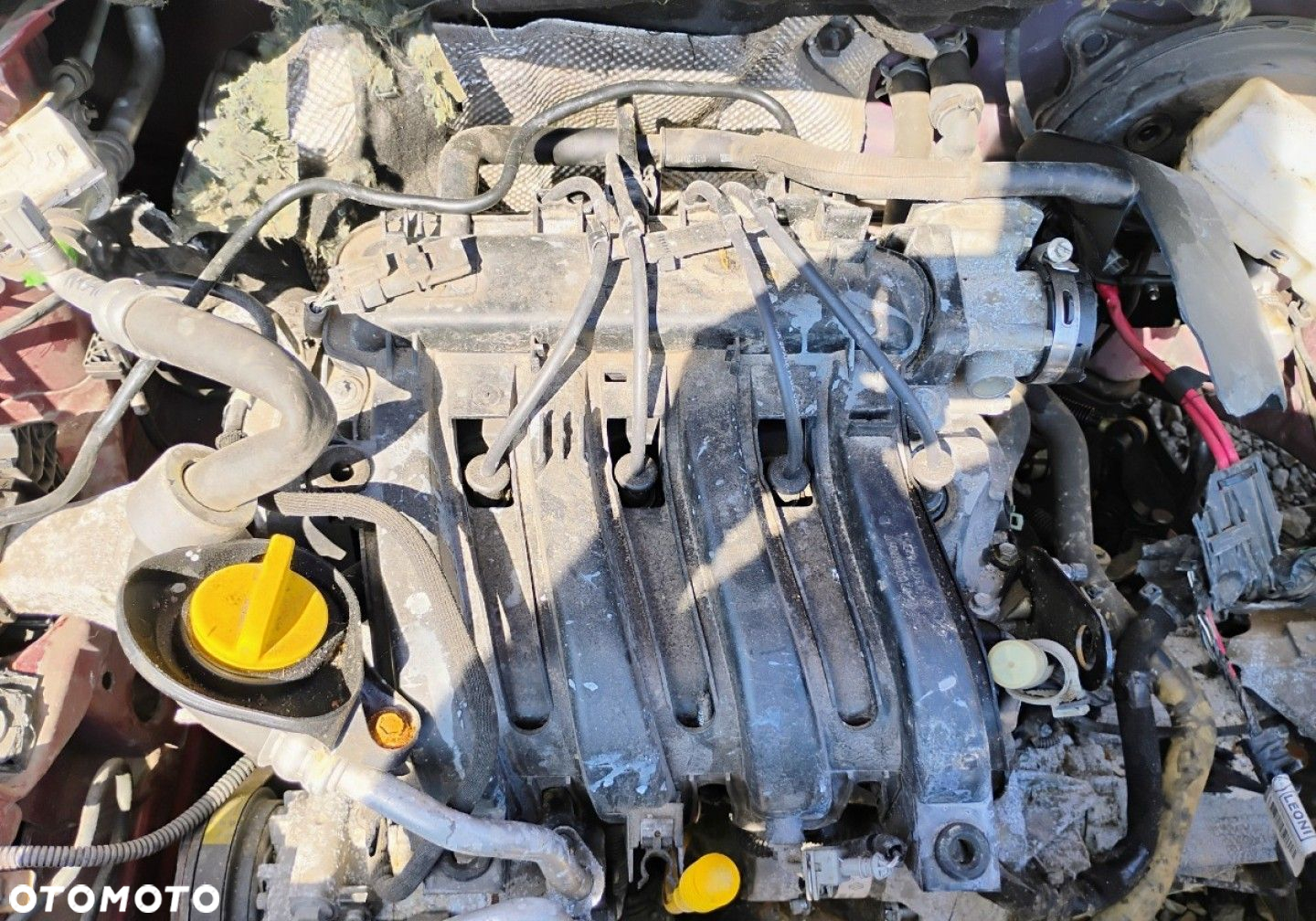 Renault Clio - 16