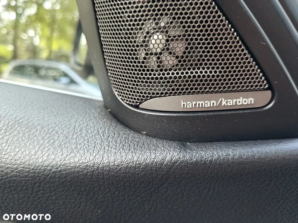 BMW Seria 3 330e iPerformance Luxury Line - 29