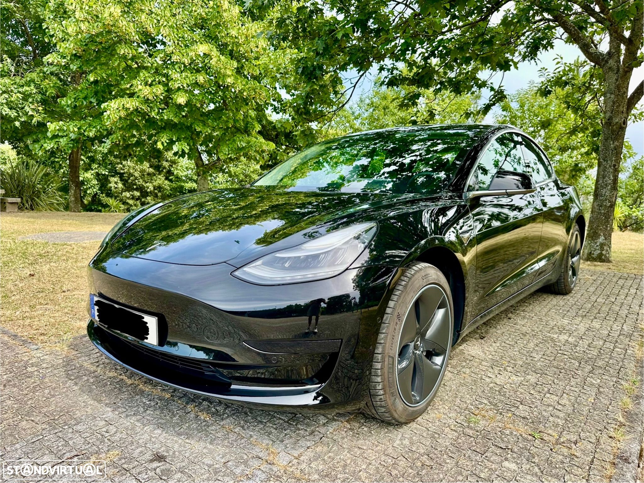 Tesla Model 3 Standard RWD Plus - 1