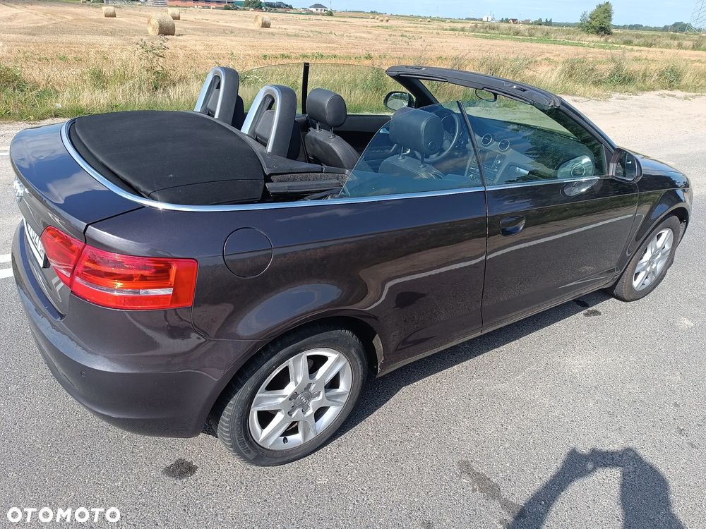 Audi A3 Cabrio 1.9 TDI DPF Ambition - 5