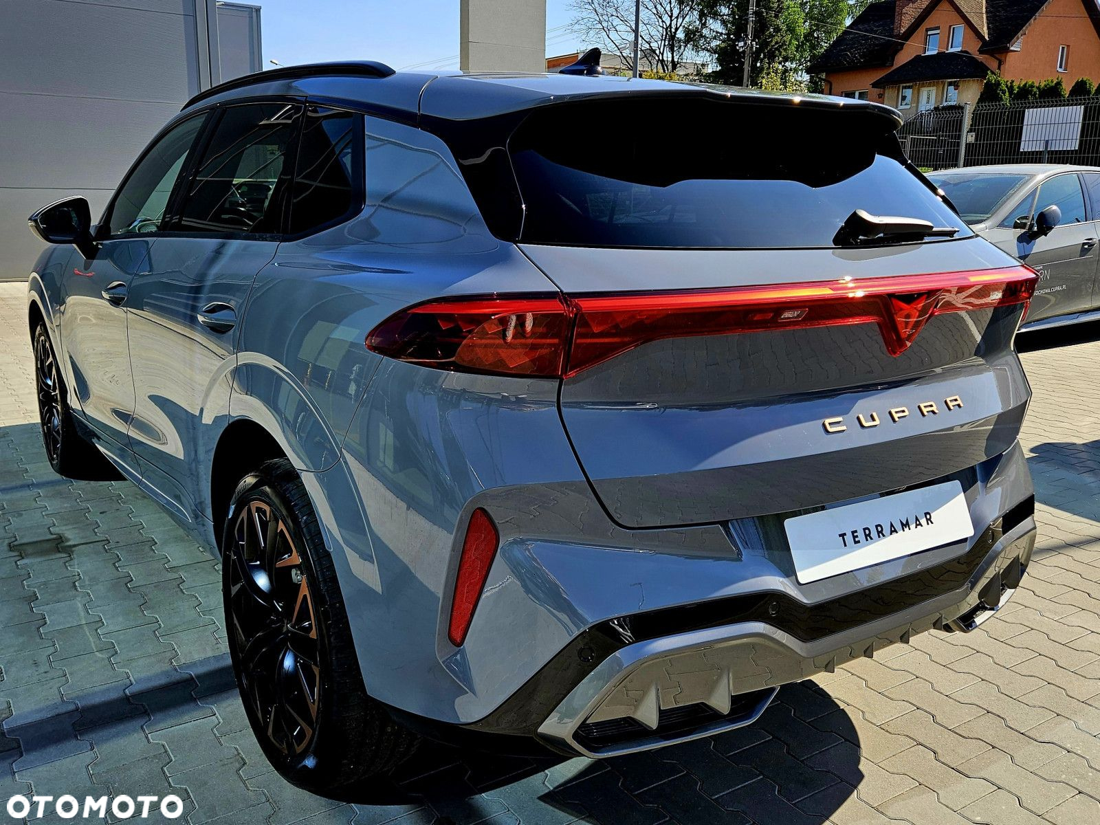 Cupra Terramar - 6