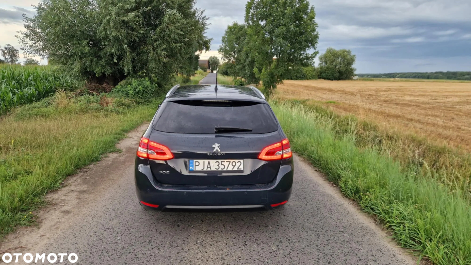 Peugeot 308 1.6 BlueHDi Business Line S&S - 12