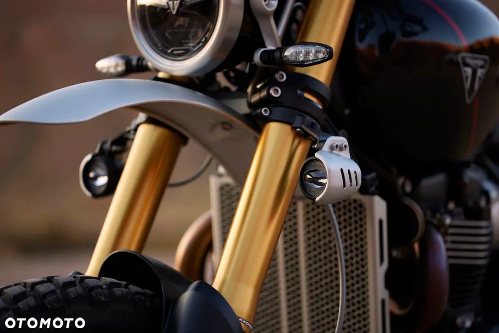 Triumph Scrambler - 9