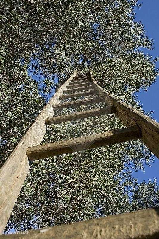 Terreno  para venda - Grande imagem: 2/13