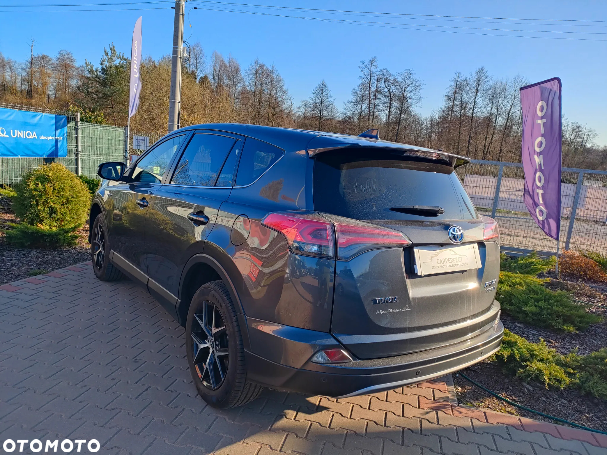 Toyota RAV4 Hybrid Premium 4x2 - 11