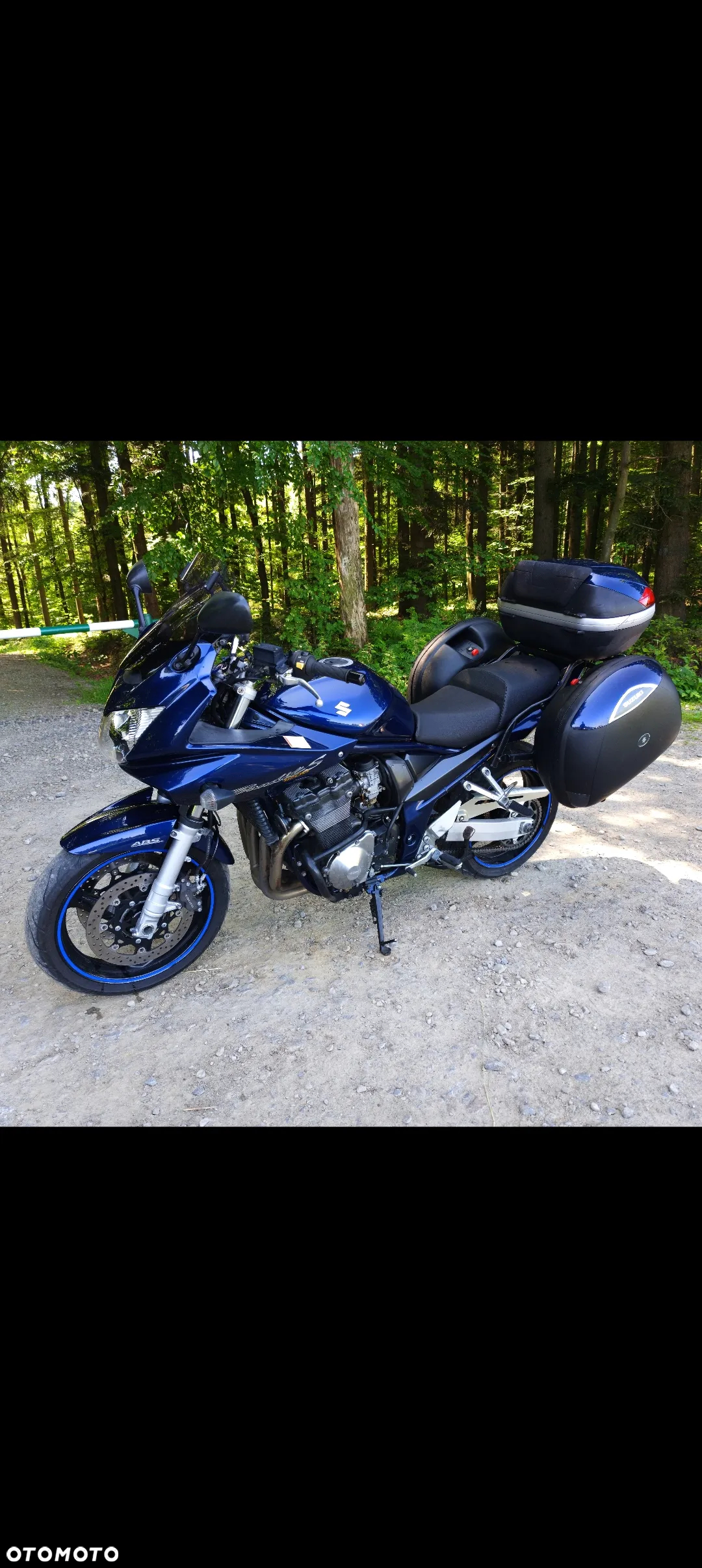 Suzuki Bandit - 5