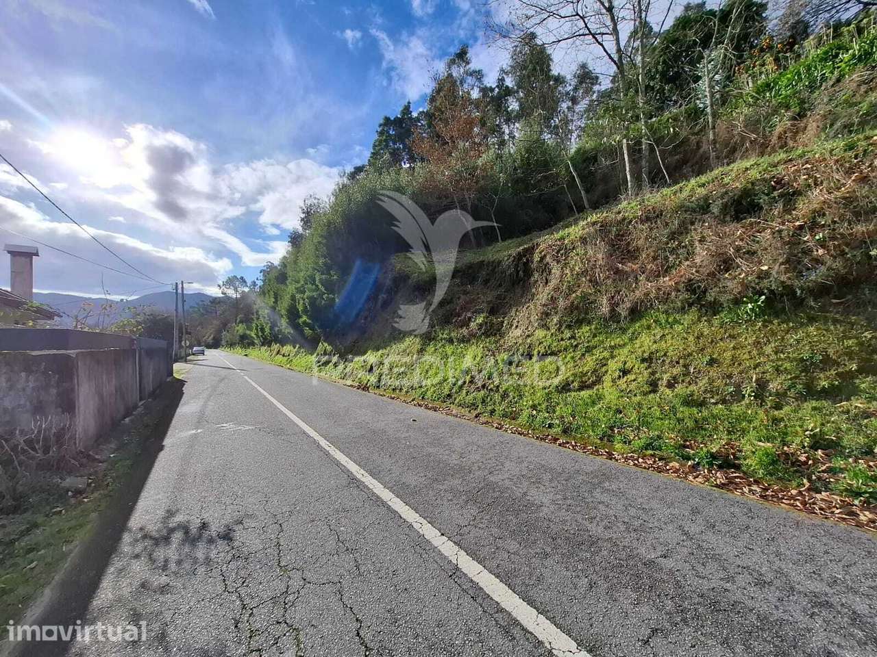 Terreno Rústico em Valdreu, Vila Verde - Grande imagem: 4/9