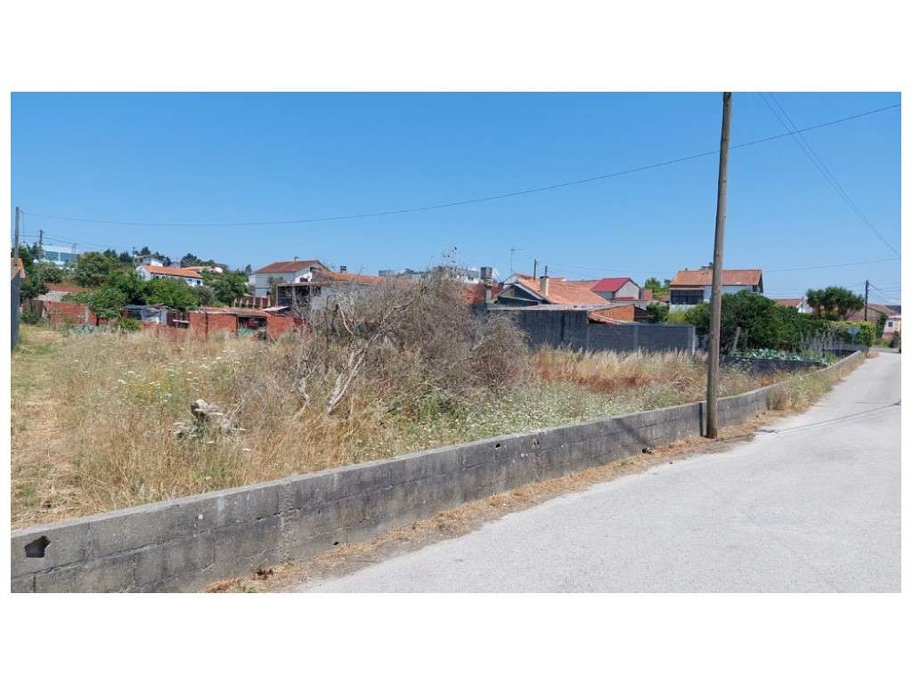 Terreno para construção nas Várzeas - Souto da Carpalhosa - Grande imagem: 2/5