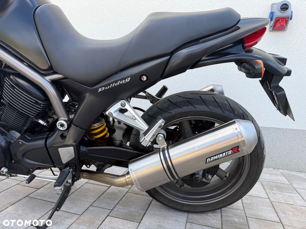 Yamaha Bulldog - 13