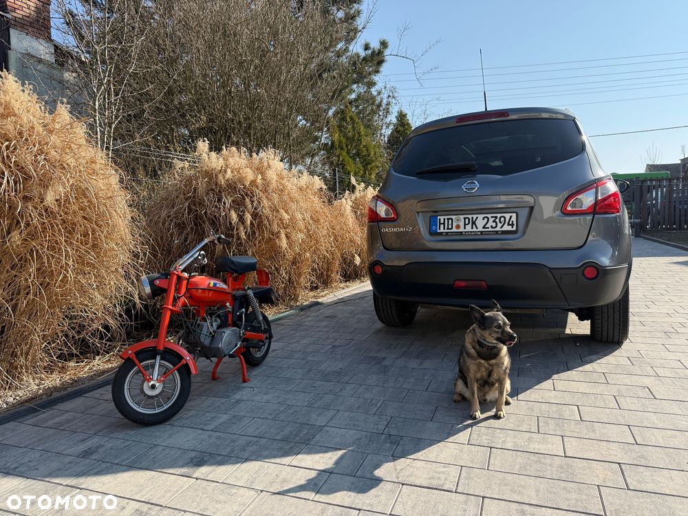 Nissan Qashqai+2 - 4