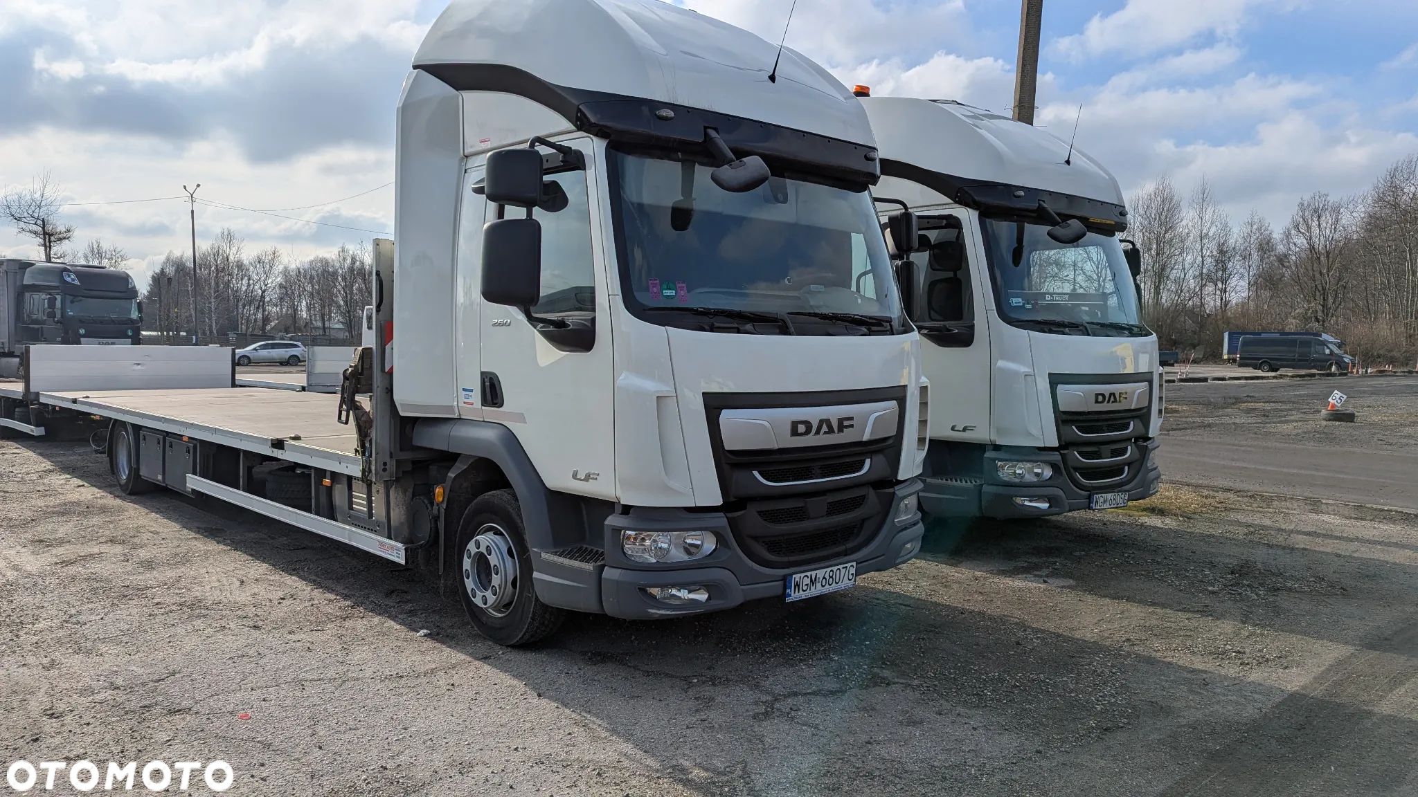 DAF LF 260 - 1