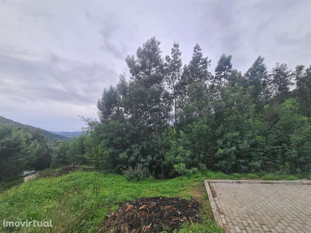 Terreno para Construção,Torres Mondego - Grande imagem: 2/3