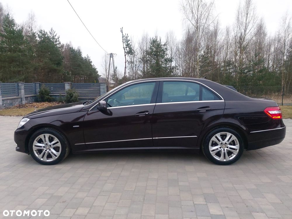 Mercedes-Benz Klasa E 300 CDI DPF BlueEFFICIENCY 7G-TRONIC Avantgarde - 5