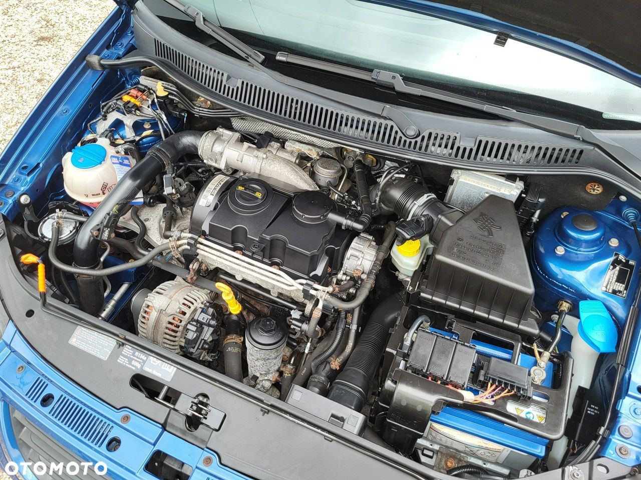 Volkswagen Polo - 8