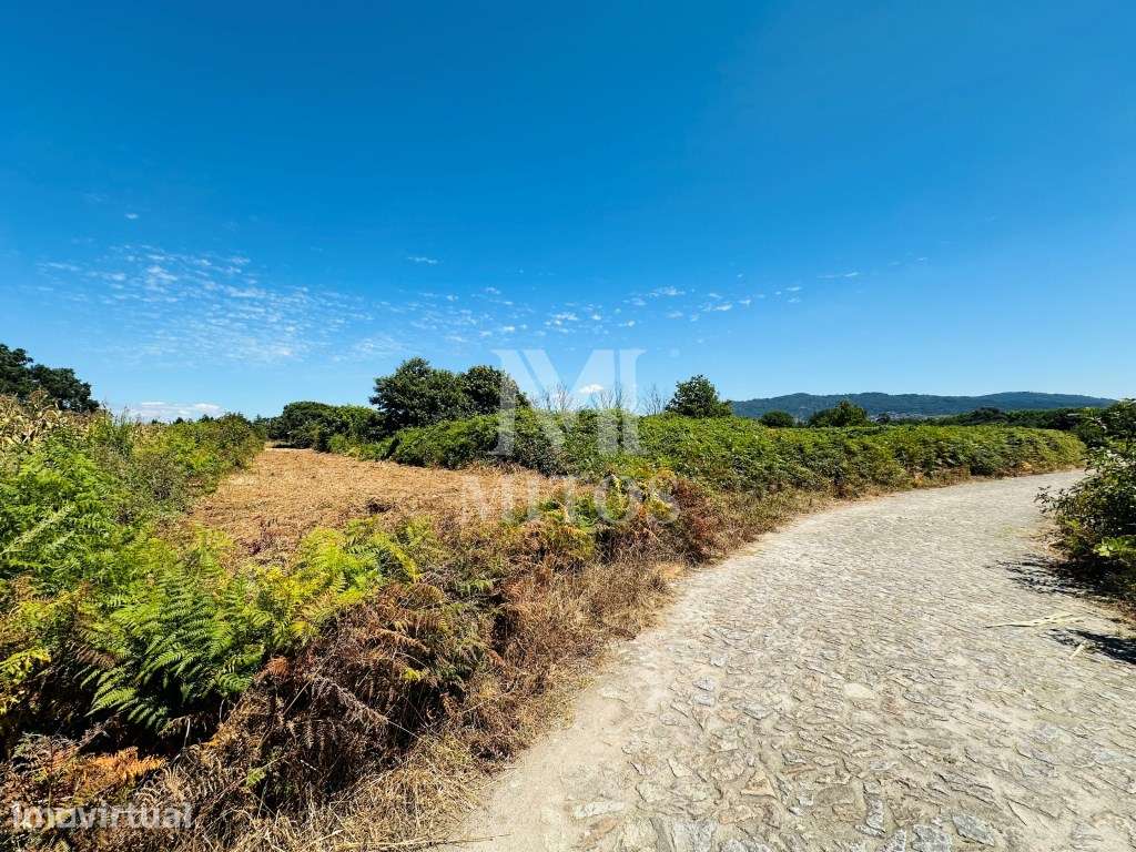 Terreno agrícola para venda em Cardielos - Viana do Castelo - Grande imagem: 3/8
